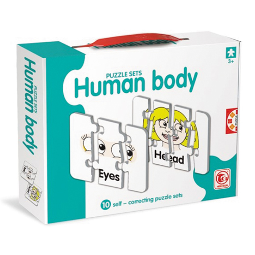 K4-1405:ชุด-Human body